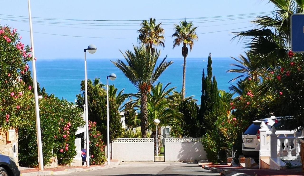 Sunny Studio La Mata Beach Torrevieja Exteriör bild